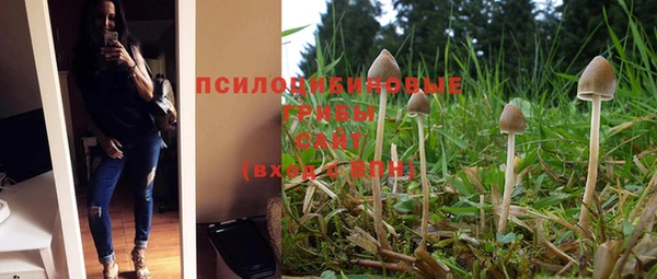 дживик Алзамай