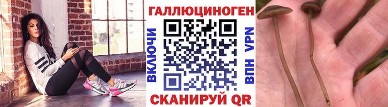 ссылка на мегу tor  Скопин  Галлюциногенные грибы прущие грибы 