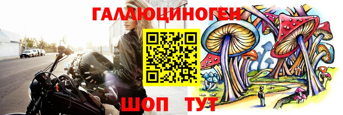 Галлюциногенные грибы Psilocybe  Вход с VPN  Скопин  сколько стоит  Псилоцибиновые грибы ЛСД 