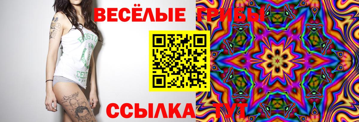 Псилоцибиновые грибы MAGIC MUSHROOMS Скопин