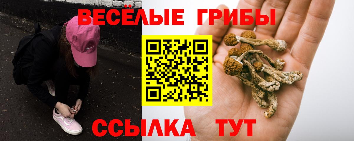 Канабис Скопин